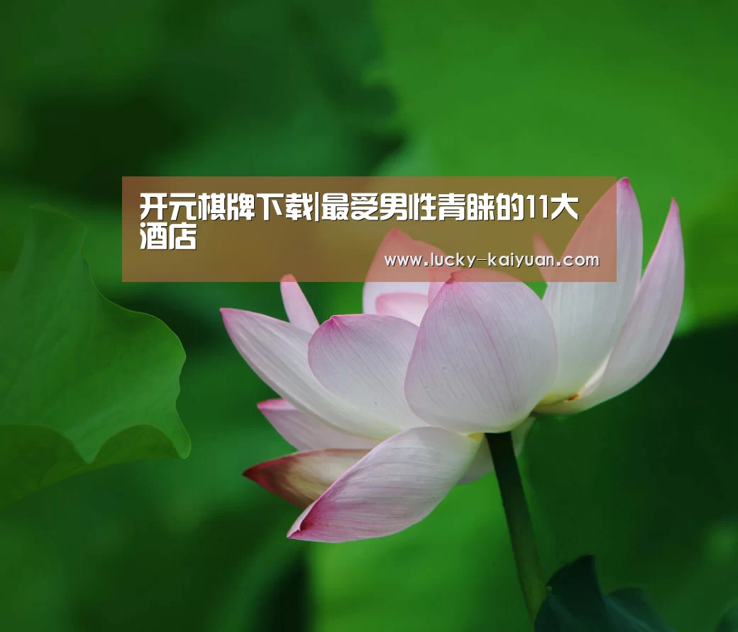 开元棋牌电脑版